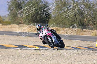 media/Dec-09-2023-SoCal Trackdays (Sat) [[76a8ac2686]]/Turn 3 Exit (1140am)/